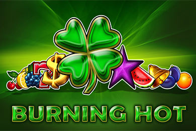 Egt Provide Burninghot слот онлайн Рокетман Казино